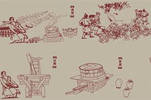 樹(shù)清酒莊的由來(lái)